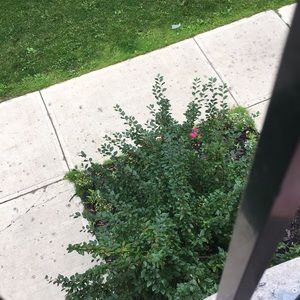 Meet your Posher, Hollie